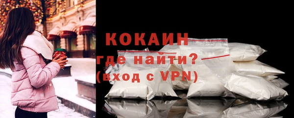 индика Осинники