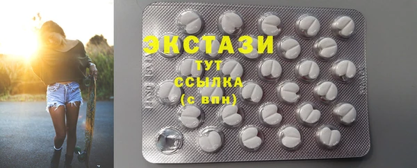индика Осинники